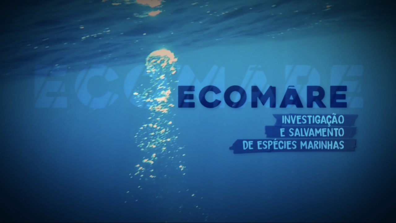 ECOMAREResearch and rescueof marine species